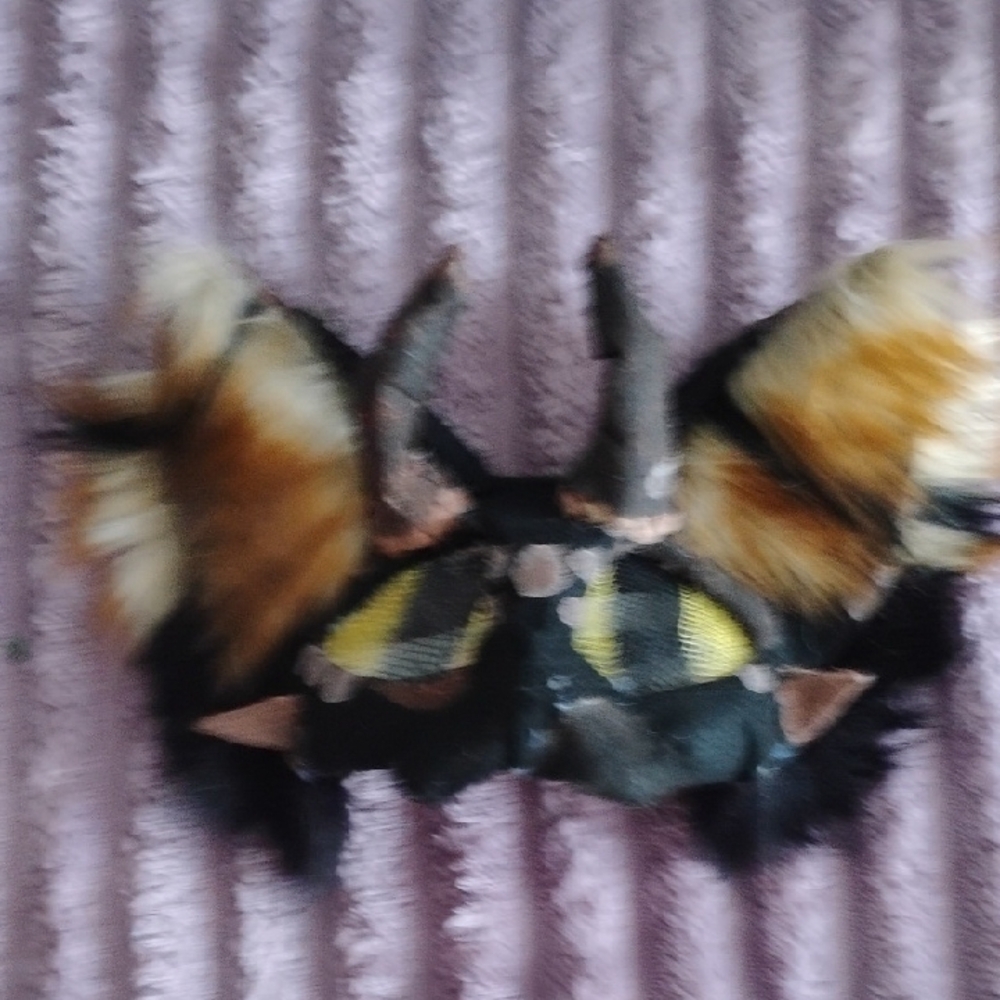 Brow And Black Devil Cat Therian Mask!!